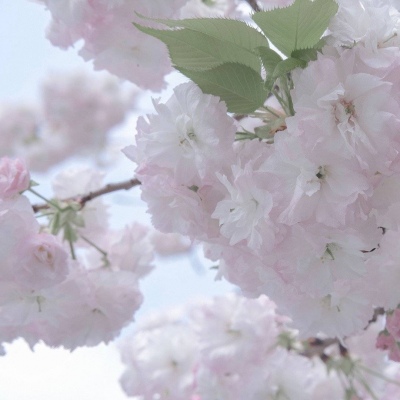 Furry创作思路分享Furry群